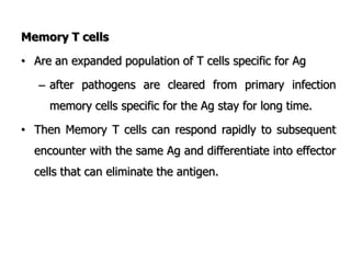 Memory T cells
• Are an expanded population of T cells specific for Ag
– after pathogens are cleared from primary infection
memory cells specific for the Ag stay for long time.
• Then Memory T cells can respond rapidly to subsequent
encounter with the same Ag and differentiate into effector
cells that can eliminate the antigen.
 