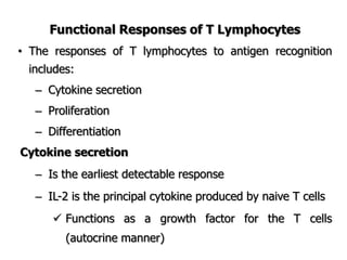 Functional Responses of T Lymphocytes
• The responses of T lymphocytes to antigen recognition
includes:
– Cytokine secretion
– Proliferation
– Differentiation
Cytokine secretion
– Is the earliest detectable response
– IL-2 is the principal cytokine produced by naive T cells
 Functions as a growth factor for the T cells
(autocrine manner)
 