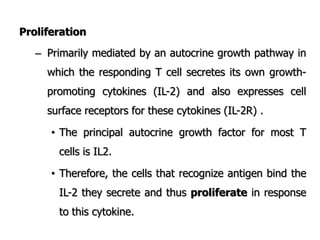 Proliferation
– Primarily mediated by an autocrine growth pathway in
which the responding T cell secretes its own growth-
promoting cytokines (IL-2) and also expresses cell
surface receptors for these cytokines (IL-2R) .
• The principal autocrine growth factor for most T
cells is IL2.
• Therefore, the cells that recognize antigen bind the
IL-2 they secrete and thus proliferate in response
to this cytokine.
 