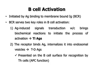 B cell Activation
• Initiated by Ag binding to membrane bound Ig (BCR)
• BCR serves two key roles in B cell activation:
1) Ag-induced signals transduction w/c brings
biochemical reactions to initiate the process of
activation  Ti Ags
2) The receptor binds Ag, internalizes it into endosomal
vesicles  T-D Ags
 Presented on the B cell surface for recognition by
Th cells (APC function)
 