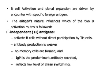 • B cell Activation and clonal expansion are driven by
encounter with specific foreign antigen,
• The antigen‟s nature influences which of the two B
activation routes is followed:
T -independent (TI) antigens:
– activate B cells without direct participation by TH cells.
– antibody production is weaker
– no memory cells are formed, and
– IgM is the predominant antibody secreted,
– reflects low level of class switching.
 