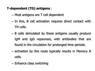 T-dependent (TD) antigens :
– Most antigens are T cell dependent
– In this, B cell activation requires direct contact with
TH cells.
– B cells stimulated by these antigens usually produce
IgM and IgG repsonses, with antibodies that are
found in the circulation for prolonged time periods.
– activation by this route typically results in Memory B
cells.
– Enhance class switching
 