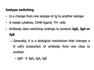 Isotype switching
• Is a change from one isotope of Ig to another isotope
• It needs cytokine, CD40 ligand, TH- cells
• Antibody class switching undergo to produce IgG, IgA or
IgE
– Generally, it is a biological mechanism that changes a
B cell's production of antibody from one class to
another
• IgM  IgG, IgA, IgE
 