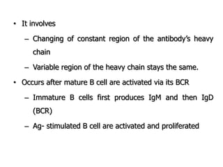 • It involves
– Changing of constant region of the antibody‟s heavy
chain
– Variable region of the heavy chain stays the same.
• Occurs after mature B cell are activated via its BCR
– Immature B cells first produces IgM and then IgD
(BCR)
– Ag- stimulated B cell are activated and proliferated
 