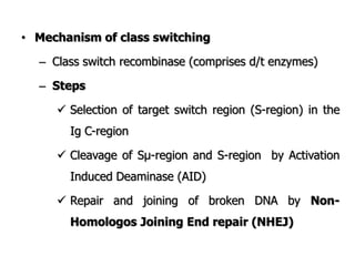 • Mechanism of class switching
– Class switch recombinase (comprises d/t enzymes)
– Steps
 Selection of target switch region (S-region) in the
Ig C-region
 Cleavage of Sµ-region and S-region by Activation
Induced Deaminase (AID)
 Repair and joining of broken DNA by Non-
Homologos Joining End repair (NHEJ)
 