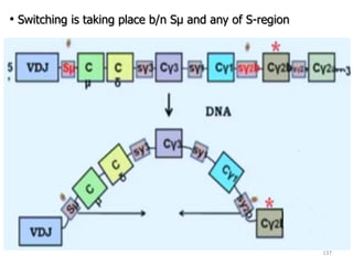 137
• Switching is taking place b/n Sµ and any of S-region
 