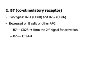 2. B7 (co-stimulatory receptor)
• Two types: B7-1 (CD80) and B7-2 (CD86)
• Expressed on B cells or other APC
– B7--- CD28  form the 2nd signal for activation
– B7---- CTLA-4
 