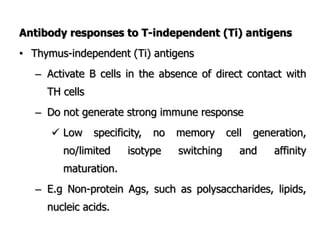 Antibody responses to T-independent (Ti) antigens
• Thymus-independent (Ti) antigens
– Activate B cells in the absence of direct contact with
TH cells
– Do not generate strong immune response
 Low specificity, no memory cell generation,
no/limited isotype switching and affinity
maturation.
– E.g Non-protein Ags, such as polysaccharides, lipids,
nucleic acids.
 