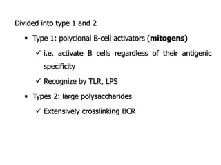 Divided into type 1 and 2
 Type 1: polyclonal B-cell activators (mitogens)
 i.e. activate B cells regardless of their antigenic
specificity
 Recognize by TLR, LPS
 Types 2: large polysaccharides
 Extensively crosslinking BCR
 