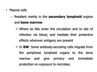 • Plasma cells
– Resident mainly in the secondary lymphoid organs
and bone marrow
 Where as Abs enter the circulation and to site of
infection via blood, and mediate their protective
effects wherever antigens are present
 In BW: Some antibody-secreting cells migrate from
the peripheral lymphoid organs to the bone
marrow and give primary and immediate
protection on exposure to microbes.
 