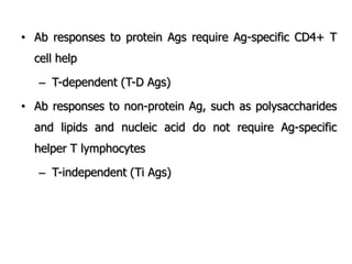 • Ab responses to protein Ags require Ag-specific CD4+ T
cell help
– T-dependent (T-D Ags)
• Ab responses to non-protein Ag, such as polysaccharides
and lipids and nucleic acid do not require Ag-specific
helper T lymphocytes
– T-independent (Ti Ags)
 