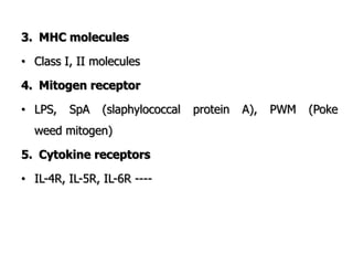 3. MHC molecules
• Class I, II molecules
4. Mitogen receptor
• LPS, SpA (slaphylococcal protein A), PWM (Poke
weed mitogen)
5. Cytokine receptors
• IL-4R, IL-5R, IL-6R ----
 
