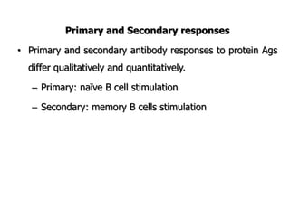 Primary and Secondary responses
• Primary and secondary antibody responses to protein Ags
differ qualitatively and quantitatively.
– Primary: naïve B cell stimulation
– Secondary: memory B cells stimulation
 