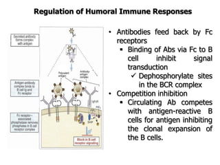 Regulation of Humoral Immune Responses
• Antibodies feed back by Fc
receptors
 Binding of Abs via Fc to B
cell inhibit signal
transduction
 Dephosphorylate sites
in the BCR complex
• Competition inhibition
 Circulating Ab competes
with antigen-reactive B
cells for antigen inhibiting
the clonal expansion of
the B cells.
 