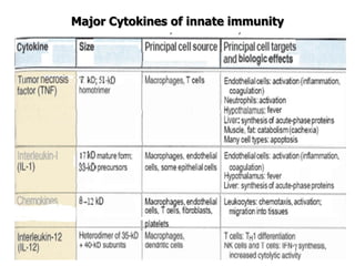 168
Major Cytokines of innate immunity
 