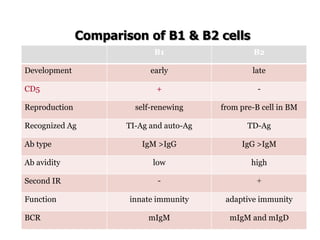 Comparison of B1 & B2 cells
B1 B2
Development early late
CD5 + -
Reproduction self-renewing from pre-B cell in BM
Recognized Ag TI-Ag and auto-Ag TD-Ag
Ab type IgM >IgG IgG >IgM
Ab avidity low high
Second IR - +
Function innate immunity adaptive immunity
BCR mIgM mIgM and mIgD
 