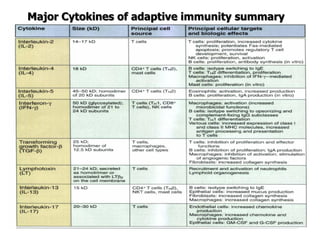 Major Cytokines of adaptive immunity summary
 