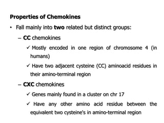 Properties of Chemokines
• Fall mainly into two related but distinct groups:
– CC chemokines
 Mostly encoded in one region of chromosome 4 (in
humans)
 Have two adjacent cysteine (CC) aminoacid residues in
their amino-terminal region
– CXC chemokines
 Genes mainly found in a cluster on chr 17
 Have any other amino acid residue between the
equivalent two cysteine's in amino-terminal region
 