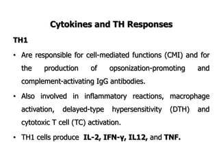 Cytokines and TH Responses
TH1
• Are responsible for cell-mediated functions (CMI) and for
the production of opsonization-promoting and
complement-activating IgG antibodies.
• Also involved in inflammatory reactions, macrophage
activation, delayed-type hypersensitivity (DTH) and
cytotoxic T cell (TC) activation.
• TH1 cells produce IL-2, IFN-γ, IL12, and TNF.
 