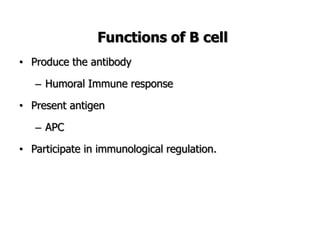 Functions of B cell
• Produce the antibody
– Humoral Immune response
• Present antigen
– APC
• Participate in immunological regulation.
 