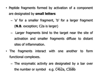 • Peptide fragments formed by activation of a component
are designated by small letters
– „a‟ for a smaller fragment, „b‟ for a larger fragment
(N.B. exception; C2a is larger)
– Larger fragments bind to the target near the site of
activation and smaller fragments diffuse to distant
sites of inflammation.
• The fragments interact with one another to form
functional complexes.
– The enzymatic activity are designated by a bar over
the number or symbol e.g. C4b2a, C3bBb
 
