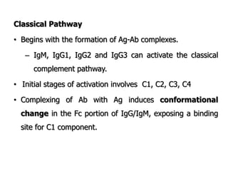 Classical Pathway
• Begins with the formation of Ag-Ab complexes.
– IgM, IgG1, IgG2 and IgG3 can activate the classical
complement pathway.
• Initial stages of activation involves C1, C2, C3, C4
• Complexing of Ab with Ag induces conformational
change in the Fc portion of IgG/IgM, exposing a binding
site for C1 component.
 