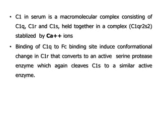 • C1 in serum is a macromolecular complex consisting of
C1q, C1r and C1s, held together in a complex (C1qr2s2)
stablized by Ca++ ions
• Binding of C1q to Fc binding site induce conformational
change in C1r that converts to an active serine protease
enzyme which again cleaves C1s to a similar active
enzyme.
 