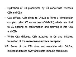 • Hydrolysis of C3 proenzyme by C3 convertase releases
C3b and C3a
• C3a diffuse, C3b binds to C4b2a to form a trimolecular
complex called C5 convertase (C4b2a3b) which can bind
to C5 altering its conformation and cleaving it into C5a
and C5b
• While C5a diffuses, C5b attaches to C6 and initiates
formation of the membrane-attack complex.
NB: Some of the C3b does not associate with C4b2a;
instead it diffuses away and coats immune complexes.
 