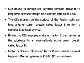 • C3b bound to foreign cell surfaces remains active for a
long time because foreign cells contain little sialic acid.
• The C3b present on the surface of the foreign cells can
bind another serum protein called factor B to form a
complex stabilized by Mg2.
• Binding to C3b exposes a site on factor B that serves as
the substrate for an enzymatically active serum protein
called factor D.
• Factor D cleaves C3b-bound factor B and releases a small
fragment Ba and generates C3bBb (C3 convertase)
 