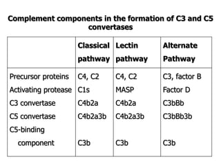Complement components in the formation of C3 and C5
convertases
Classical
pathway
Lectin
pathway
Alternate
Pathway
Precursor proteins
Activating protease
C3 convertase
C5 convertase
C5-binding
component
C4, C2
C1s
C4b2a
C4b2a3b
C3b
C4, C2
MASP
C4b2a
C4b2a3b
C3b
C3, factor B
Factor D
C3bBb
C3bBb3b
C3b
 