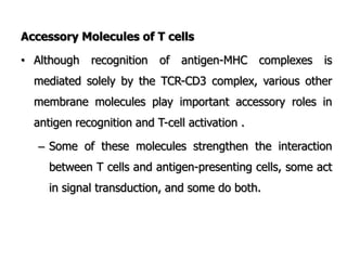 Accessory Molecules of T cells
• Although recognition of antigen-MHC complexes is
mediated solely by the TCR-CD3 complex, various other
membrane molecules play important accessory roles in
antigen recognition and T-cell activation .
– Some of these molecules strengthen the interaction
between T cells and antigen-presenting cells, some act
in signal transduction, and some do both.
 
