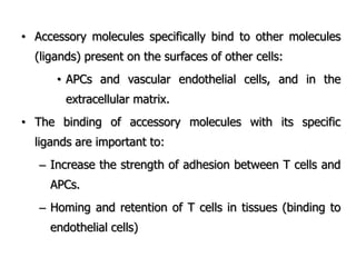 • Accessory molecules specifically bind to other molecules
(ligands) present on the surfaces of other cells:
• APCs and vascular endothelial cells, and in the
extracellular matrix.
• The binding of accessory molecules with its specific
ligands are important to:
– Increase the strength of adhesion between T cells and
APCs.
– Homing and retention of T cells in tissues (binding to
endothelial cells)
 