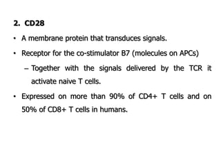 2. CD28
• A membrane protein that transduces signals.
• Receptor for the co-stimulator B7 (molecules on APCs)
– Together with the signals delivered by the TCR it
activate naive T cells.
• Expressed on more than 90% of CD4+ T cells and on
50% of CD8+ T cells in humans.
 