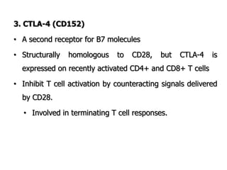 3. CTLA-4 (CD152)
• A second receptor for B7 molecules
• Structurally homologous to CD28, but CTLA-4 is
expressed on recently activated CD4+ and CD8+ T cells
• Inhibit T cell activation by counteracting signals delivered
by CD28.
• Involved in terminating T cell responses.
 