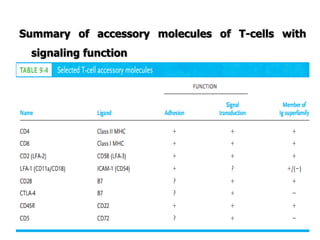 Summary of accessory molecules of T-cells with
signaling function
 