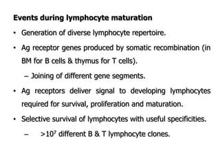 Events during lymphocyte maturation
• Generation of diverse lymphocyte repertoire.
• Ag receptor genes produced by somatic recombination (in
BM for B cells & thymus for T cells).
– Joining of different gene segments.
• Ag receptors deliver signal to developing lymphocytes
required for survival, proliferation and maturation.
• Selective survival of lymphocytes with useful specificities.
– >107 different B & T lymphocyte clones.
 