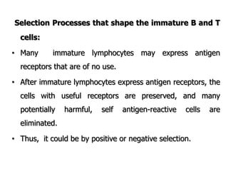Selection Processes that shape the immature B and T
cells:
• Many immature lymphocytes may express antigen
receptors that are of no use.
• After immature lymphocytes express antigen receptors, the
cells with useful receptors are preserved, and many
potentially harmful, self antigen-reactive cells are
eliminated.
• Thus, it could be by positive or negative selection.
 