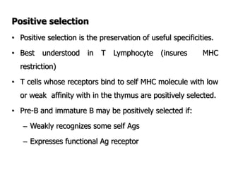 Positive selection
• Positive selection is the preservation of useful specificities.
• Best understood in T Lymphocyte (insures MHC
restriction)
• T cells whose receptors bind to self MHC molecule with low
or weak affinity with in the thymus are positively selected.
• Pre-B and immature B may be positively selected if:
– Weakly recognizes some self Ags
– Expresses functional Ag receptor
 