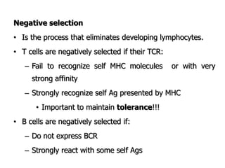Negative selection
• Is the process that eliminates developing lymphocytes.
• T cells are negatively selected if their TCR:
– Fail to recognize self MHC molecules or with very
strong affinity
– Strongly recognize self Ag presented by MHC
• Important to maintain tolerance!!!
• B cells are negatively selected if:
– Do not express BCR
– Strongly react with some self Ags
 