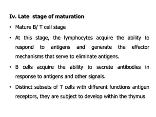 Iv. Late stage of maturation
• Mature B/ T cell stage
• At this stage, the lymphocytes acquire the ability to
respond to antigens and generate the effector
mechanisms that serve to eliminate antigens.
• B cells acquire the ability to secrete antibodies in
response to antigens and other signals.
• Distinct subsets of T cells with different functions antigen
receptors, they are subject to develop within the thymus
 