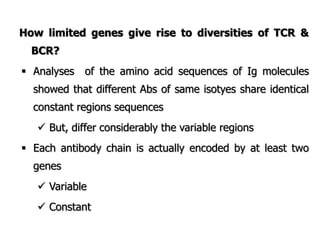 How limited genes give rise to diversities of TCR &
BCR?
 Analyses of the amino acid sequences of Ig molecules
showed that different Abs of same isotyes share identical
constant regions sequences
 But, differ considerably the variable regions
 Each antibody chain is actually encoded by at least two
genes
 Variable
 Constant
 