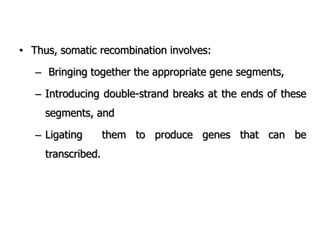 • Thus, somatic recombination involves:
– Bringing together the appropriate gene segments,
– Introducing double-strand breaks at the ends of these
segments, and
– Ligating them to produce genes that can be
transcribed.
 