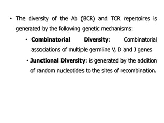 • The diversity of the Ab (BCR) and TCR repertoires is
generated by the following genetic mechanisms:
• Combinatorial Diversity: Combinatorial
associations of multiple germline V, D and J genes
• Junctional Diversity: is generated by the addition
of random nucleotides to the sites of recombination.
 