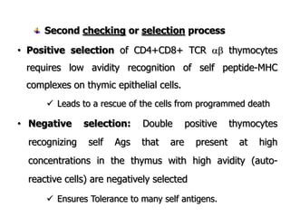Second checking or selection process
• Positive selection of CD4+CD8+ TCR  thymocytes
requires low avidity recognition of self peptide-MHC
complexes on thymic epithelial cells.
 Leads to a rescue of the cells from programmed death
• Negative selection: Double positive thymocytes
recognizing self Ags that are present at high
concentrations in the thymus with high avidity (auto-
reactive cells) are negatively selected
 Ensures Tolerance to many self antigens.
 