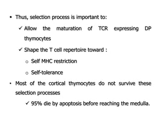  Thus, selection process is important to:
 Allow the maturation of TCR expressing DP
thymocytes
 Shape the T cell repertoire toward :
o Self MHC restriction
o Self-tolerance
• Most of the cortical thymocytes do not survive these
selection processes
 95% die by apoptosis before reaching the medulla.
 