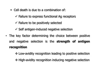  Cell death is due to a combination of:
 Failure to express functional Ag receptors
 Failure to be positively selected
 Self antigen-induced negative selection
• The key factor determining the choice between positive
and negative selection is the strength of antigen
recognition
 Low-avidity recognition leading to positive selection
 High-avidity recognition inducing negative selection
 