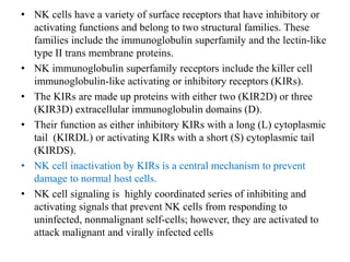 • NK cells have a variety of surface receptors that have inhibitory or
activating functions and belong to two structural families. These
families include the immunoglobulin superfamily and the lectin-like
type II trans membrane proteins.
• NK immunoglobulin superfamily receptors include the killer cell
immunoglobulin-like activating or inhibitory receptors (KIRs).
• The KIRs are made up proteins with either two (KIR2D) or three
(KIR3D) extracellular immunoglobulin domains (D).
• Their function as either inhibitory KIRs with a long (L) cytoplasmic
tail (KIRDL) or activating KIRs with a short (S) cytoplasmic tail
(KIRDS).
• NK cell inactivation by KIRs is a central mechanism to prevent
damage to normal host cells.
• NK cell signaling is highly coordinated series of inhibiting and
activating signals that prevent NK cells from responding to
uninfected, nonmalignant self-cells; however, they are activated to
attack malignant and virally infected cells
 
