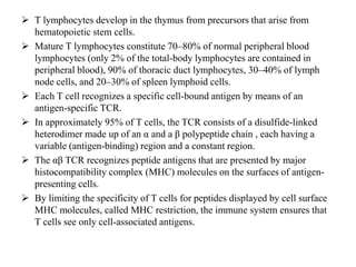  T lymphocytes develop in the thymus from precursors that arise from
hematopoietic stem cells.
 Mature T lymphocytes constitute 70–80% of normal peripheral blood
lymphocytes (only 2% of the total-body lymphocytes are contained in
peripheral blood), 90% of thoracic duct lymphocytes, 30–40% of lymph
node cells, and 20–30% of spleen lymphoid cells.
 Each T cell recognizes a specific cell-bound antigen by means of an
antigen-specific TCR.
 In approximately 95% of T cells, the TCR consists of a disulfide-linked
heterodimer made up of an α and a β polypeptide chain , each having a
variable (antigen-binding) region and a constant region.
 The αβ TCR recognizes peptide antigens that are presented by major
histocompatibility complex (MHC) molecules on the surfaces of antigen-
presenting cells.
 By limiting the specificity of T cells for peptides displayed by cell surface
MHC molecules, called MHC restriction, the immune system ensures that
T cells see only cell-associated antigens.
 