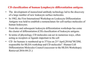 CD classification of human lymphocyte differentiation antigens
• The development of monoclonal antibody technology led to the discovery
of a large number of new leukocyte surface molecules.
• In 1982, the First International Workshop on Leukocyte Differentiation
Antigens was held to establish a nomenclature for cell-surface molecules of
human leukocytes.
• From this and subsequent leukocyte differentiation workshops has come
the cluster of differentiation (CD) classification of leukocyte antigens.
• In terms of physiology, CD molecules can act in numerous ways, often
acting as receptors or ligands important to the cell
• CD for humans is numbered up to 371(as on 21st April,2016)("HCDM,
responsible for HLDA workshop and CD molecules". Human Cell
Differentiation Molecules Council (successor to the HLDA Workshops).
Retrieved 2016-04-21.)
 