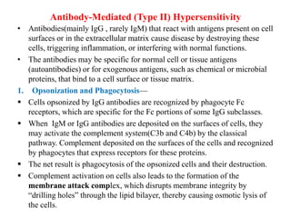 Antibody-Mediated (Type II) Hypersensitivity
• Antibodies(mainly IgG , rarely IgM) that react with antigens present on cell
surfaces or in the extracellular matrix cause disease by destroying these
cells, triggering inflammation, or interfering with normal functions.
• The antibodies may be specific for normal cell or tissue antigens
(autoantibodies) or for exogenous antigens, such as chemical or microbial
proteins, that bind to a cell surface or tissue matrix.
1. Opsonization and Phagocytosis—
 Cells opsonized by IgG antibodies are recognized by phagocyte Fc
receptors, which are specific for the Fc portions of some IgG subclasses.
 When IgM or IgG antibodies are deposited on the surfaces of cells, they
may activate the complement system(C3b and C4b) by the classical
pathway. Complement deposited on the surfaces of the cells and recognized
by phagocytes that express receptors for these proteins.
 The net result is phagocytosis of the opsonized cells and their destruction.
 Complement activation on cells also leads to the formation of the
membrane attack complex, which disrupts membrane integrity by
“drilling holes” through the lipid bilayer, thereby causing osmotic lysis of
the cells.
 